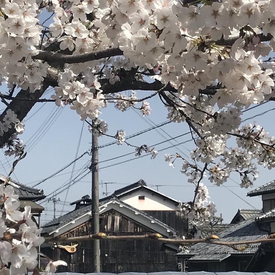 Guesthouse En Omihachiman Esterno foto